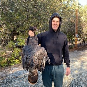 Meet your Posher, Kurtis